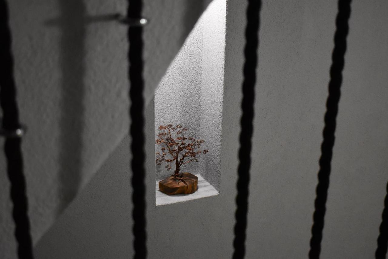 Calma Apartment *